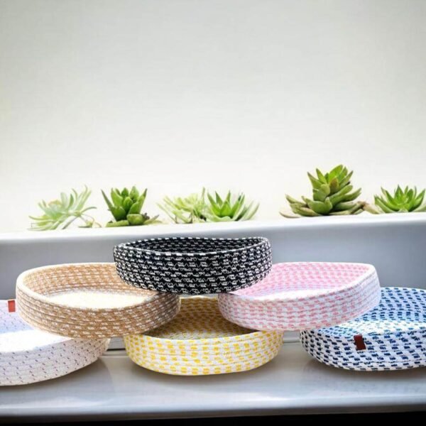 dry fruit tray