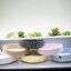 dry fruit tray
