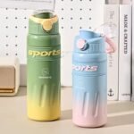 Insulated Sports Double-Wall Bottle 730ml (No. HH-19, Assorted Prints)