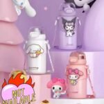 Kuromi Sanrio Style Double-Wall Tumblers with Straws 500ml (No. HH-17 Assorted Prints)