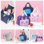 Wholesale Insulated Lunch Bag | Insulated Lunch Bag | Wholesale Bags| Wholesale Lunch Bag | Wholesale Bag Supplier